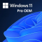 Windows 11 Pro OEM Lisans Key